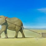 Xander, A History of Fanaticism