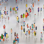 Stephen Forbes, Observation