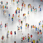 Stephen Forbes, Observation
