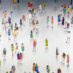 Stephen Forbes, Observation