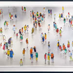 Stephen Forbes, Observation