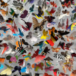 Rebecca J Coles, Black & White 02