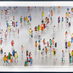 Stephen Forbes, Observation