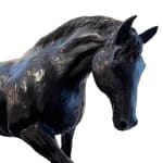 John Fitzgerald, The Stallion
