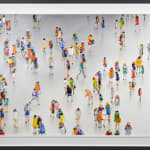 Stephen Forbes, Observation