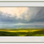 Harry Brioche, Sunshine and Showers
