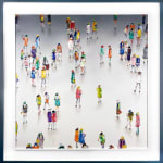 Stephen Forbes, Observation