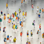 Stephen Forbes, Seekers