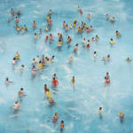 Stephen Forbes, Bliss
