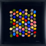 Peter Monaghan, Large Hexagons on Black