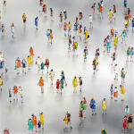 Stephen Forbes, Observation