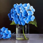 David French Le-Roy, Blue Hydrangea