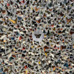 Rebecca J Coles, Black & White 02