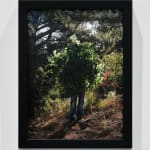Steve Carr, Invisibility Shields 6, 2025