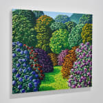 Karl Maughan, Mitimiti, 2025