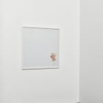 Steve Carr, Cock, 2005