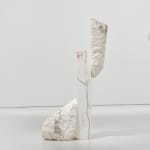Mattia Bosco, Sezione Aurea, 2016