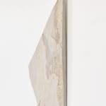 Mattia Bosco, Sezione Aurea, 2016
