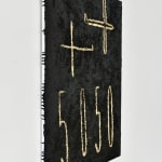 Steve Carr, Albedo, Flavedo No. 10, 2016