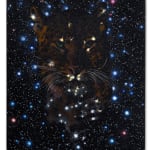 Reuben Paterson, Could That Be You (Constellation Southern Cross), 2024