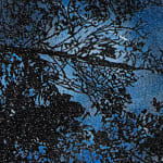 Reuben Paterson, One More Night (Constellation Leo), 2025