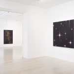 Reuben Paterson, One More Night (Constellation Leo), 2025