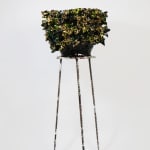 Virginia Leonard, Boring Pain, 2025