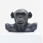 Lisa Roet, Skywalker Gibbon, 2018