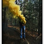 Steve Carr, Creeping Bush, 2025
