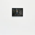 Steve Carr, Creeping Bush, 2025