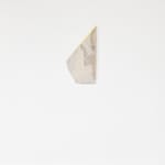 Mattia Bosco, Sezione Aurea, 2016