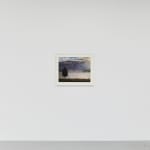 Dick Frizzell, Dark Tree, 2025