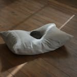 Steve Carr, Cock, 2005