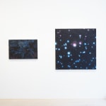 Reuben Paterson, One More Night (Constellation Leo), 2025