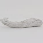 Lisa Roet, Skywalker Gibbon, 2018