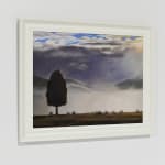 Dick Frizzell, Dark Tree, 2025