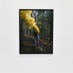 Steve Carr, Creeping Bush, 2025