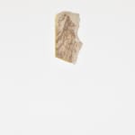 Mattia Bosco, Sezione Aurea, 2016