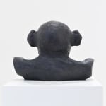Lisa Roet, Skywalker Gibbon, 2018