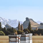 Michael Hight, Siberia Station, 2016