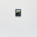 Steve Carr, Creeping Bush, 2025