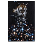 Reuben Paterson, One More Night (Constellation Leo), 2025