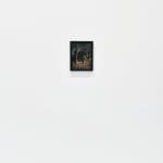 Steve Carr, Creeping Bush, 2025