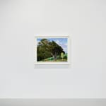 Dick Frizzell, Dark Tree, 2025