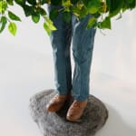 Steve Carr, Standing Bush 7, 2025