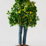 Steve Carr, Standing Bush 7, 2025