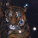 Reuben Paterson, One More Night (Constellation Leo), 2025