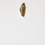 Mattia Bosco, Sezione Aurea, 2016