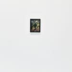 Steve Carr, Invisibility Shields 6, 2025