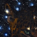 Reuben Paterson, Could That Be You (Constellation Southern Cross), 2024